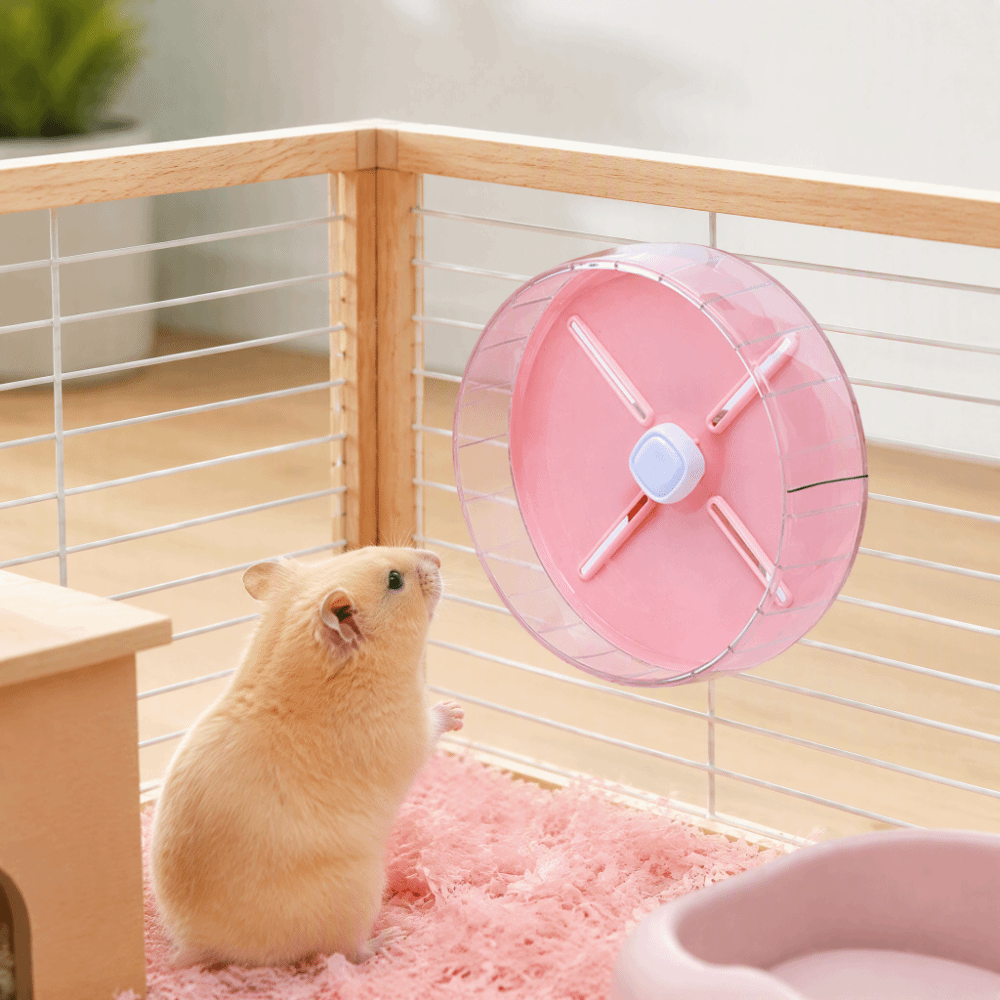 Silent Acrylic Hamster Exercis - Hamster Cage Wheel recension och pris