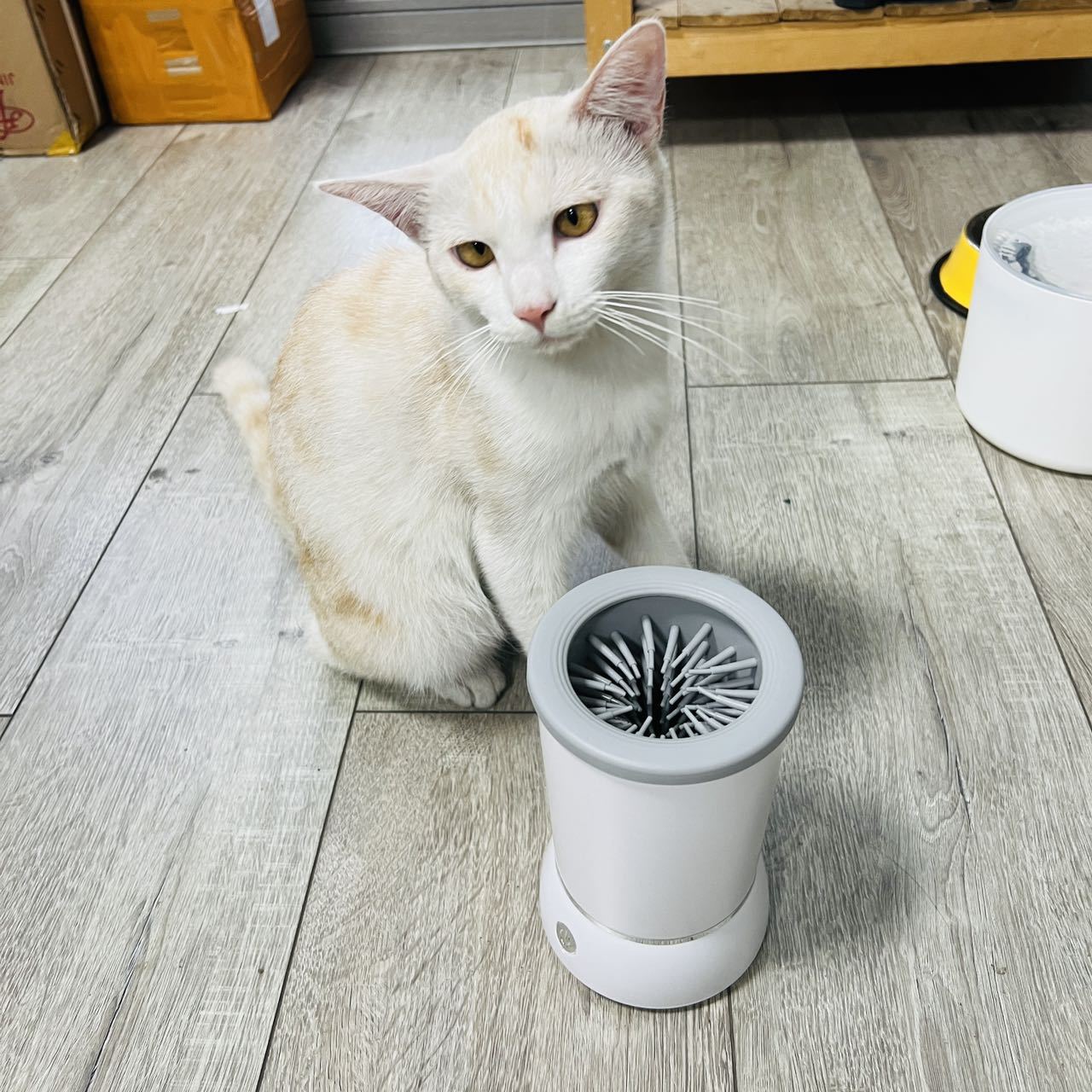 Automatic Pet Paw Cleaner Cup, - Dog Paw Cleaner recension och pris