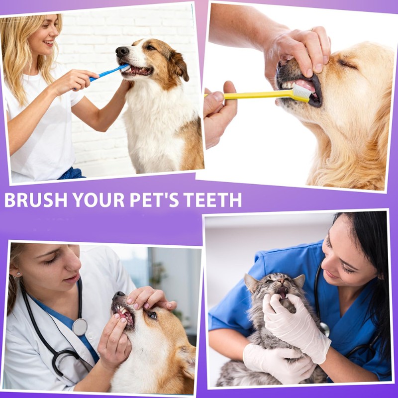 AB66-Dog Oral Hygiene Tool- 60 - Dog Paw Cleaner recension och pris