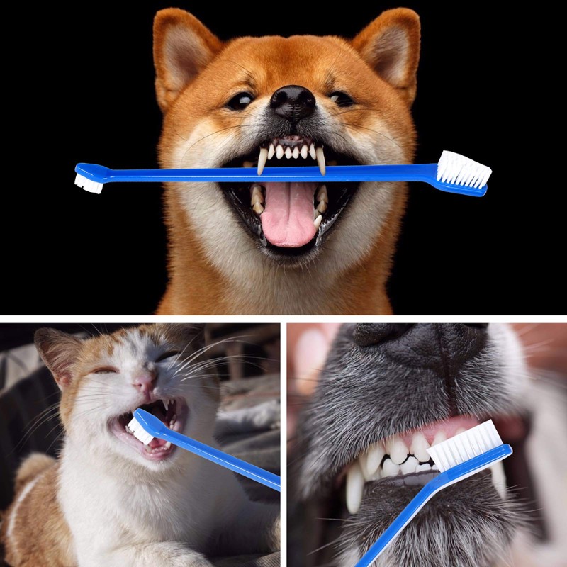 AB66-Dog Oral Hygiene Tool- 60 - Dog Paw Cleaner recension och pris